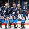 Kaderplanung, Trainersuche: Bei den Wild Wings steht in den nächsten Wochen viel auf dem Programm.
