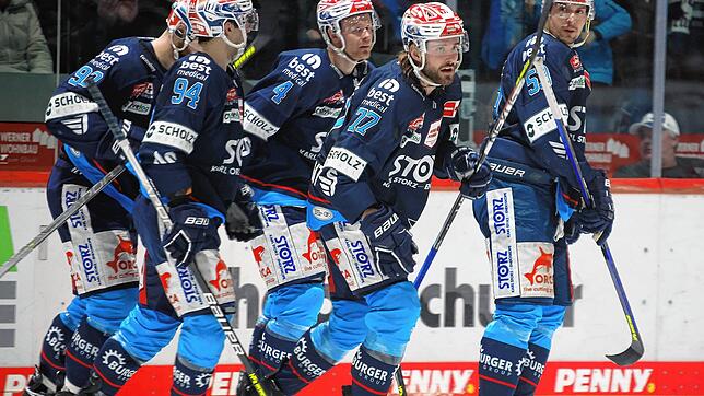 Kaderplanung, Trainersuche: Bei den Wild Wings steht in den nächsten Wochen viel auf dem Programm.