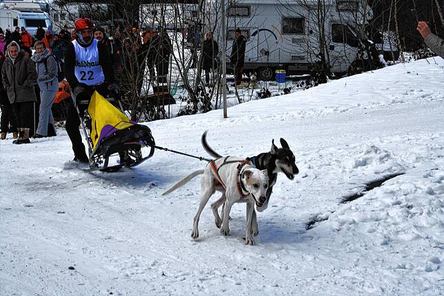 Bild 18: Bilder vom Wintererlebniswochenende in Todtmoos
