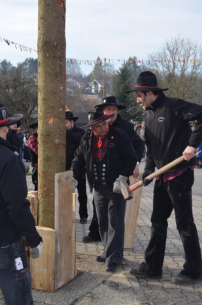 Bild 9: Bilder von den Narrentagen in Eigeltingen &ndash; Der Narrenbaum