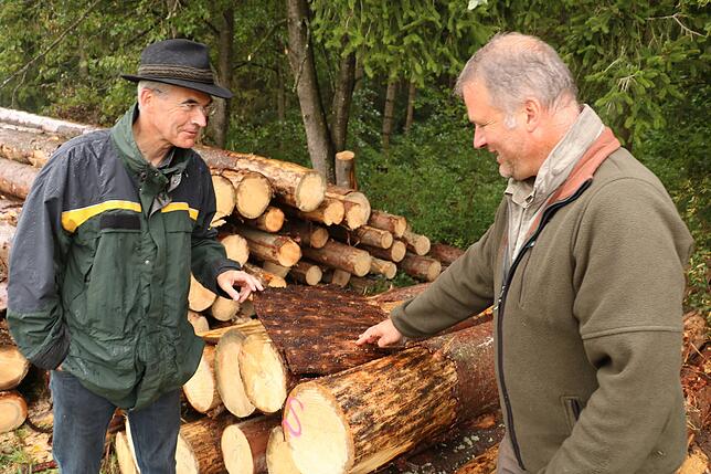 Böse Überraschung unter der Rinde. Frieder Dinkelaker (links) und Manfred Fünfgeld legen eine ganze Borkenkäfer-Kolonie frei.