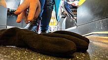 Schnell ist es passiert: Im Seehas (SBB Deutschland) oder einem Zug der Deutschen Bahn fällt ein Handschuh zu Boden. Wer es mitbekommt, ...