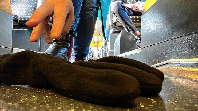 Schnell ist es passiert: Im Seehas (SBB Deutschland) oder einem Zug der Deutschen Bahn fällt ein Handschuh zu Boden. Wer es mitbekommt, ...