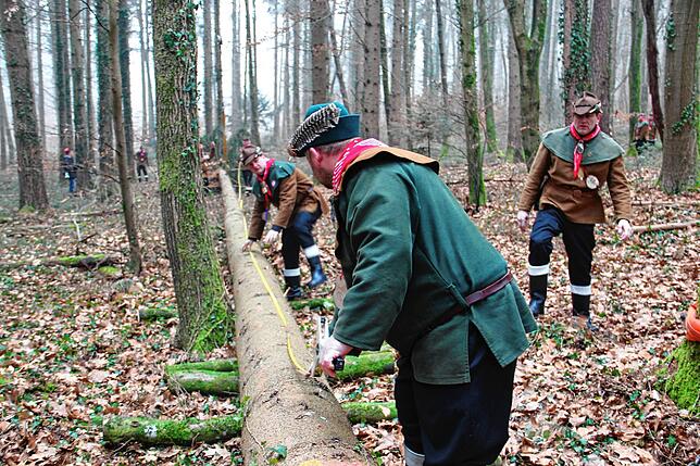 Hier kommt es auf jeden Zentimeter an: Die Holzhauer bemessen den Baum und sind mit der Höhe sehr zufrieden.