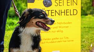 Ein Dankeschön für vorbildliche Hundehalter: Wer zur Tüte greift, bekommt Schokolade – und der Hund ein Leckerli. Bild: Stadt