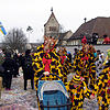 Giraffen Wollmatingen