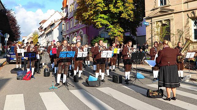 Viele Besucher und Musiker sind am Sonntag beim &bdquo;Donaurauschen &ndash; Transit und Echo&ldquo; zum 100-jährigen Jubiläum der ...