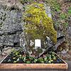Wieder da: Der Stein des Anstoßes auf der Albtalstraße im Blumenbeet mit Inschrift.