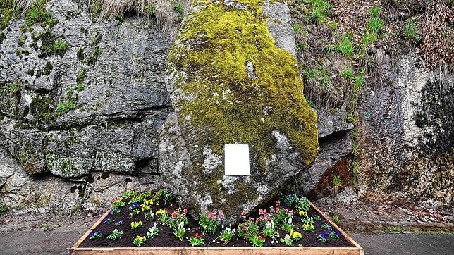 Wieder da: Der Stein des Anstoßes auf der Albtalstraße im Blumenbeet mit Inschrift.