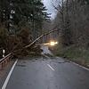 Ein umgestürzter Baum liegt auf der Strecke Wehr in Richtung Bergalingen. Im westlichen Landkreis gab es derartige Vorfälle vereinzelt, ...