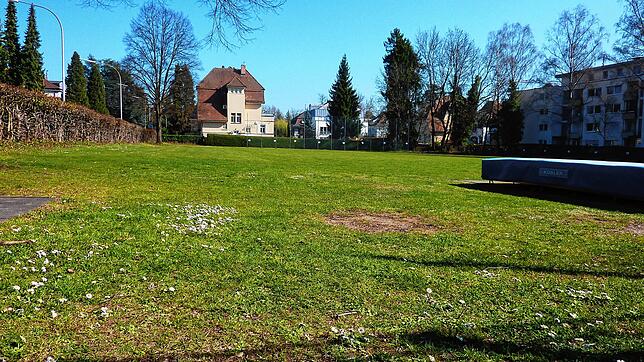 Auf dem Sportplatz neben dem Suso-Gymnasium kann noch lange der Rasen sprießen. Erst ab 2025 ist damit zu rechnen, dass dort Bauarbeiten ...