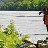 Immer auf der &bdquo;Pirsch&ldquo;: Hobbyfotograf Turhan Topacogullari fotografiert einen Schwan.