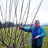 Edgar Koller zeigt, wie ein Obstbaum in den jeweiligen Altersstufen geschnitten wird. Bild: Obst- und Gartenbauverein