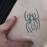 Auf dem Bauch hat Markus diese Spinne.
