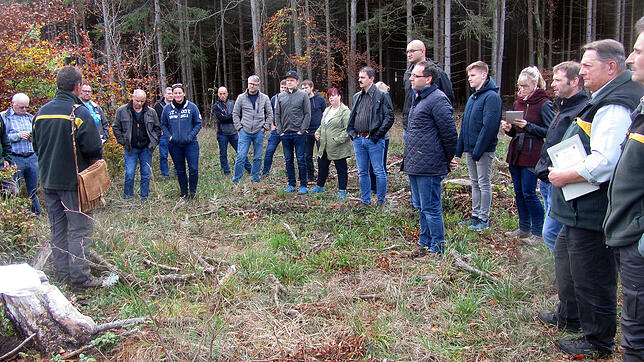 Der Geisinger Gemeinderat informiert sich bei der Waldbegehung über die Käferproblematik und aktuelle Aspekte der Waldbewirtschaftung.