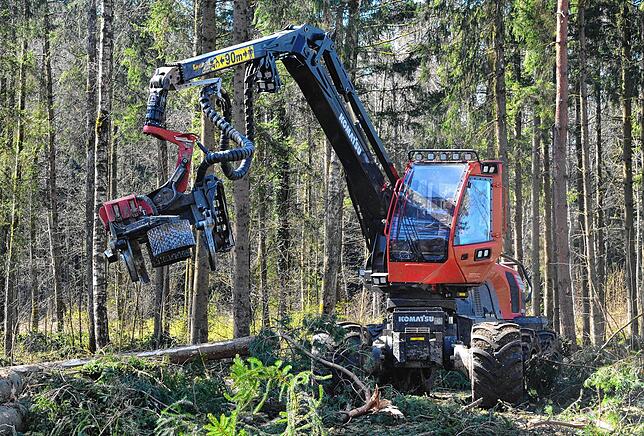 Bild 7: Wenn der Wald aufgeräumt wird: So laufen die Arbeiten im Gehau im Süden Markdorfs ab