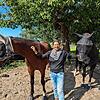 Sabine Ellenberger mit Siegfried (links) und Dakima: Die zwei Pferde sind zum Glück unversehrt. Stute Seline ist derzeit in der ...