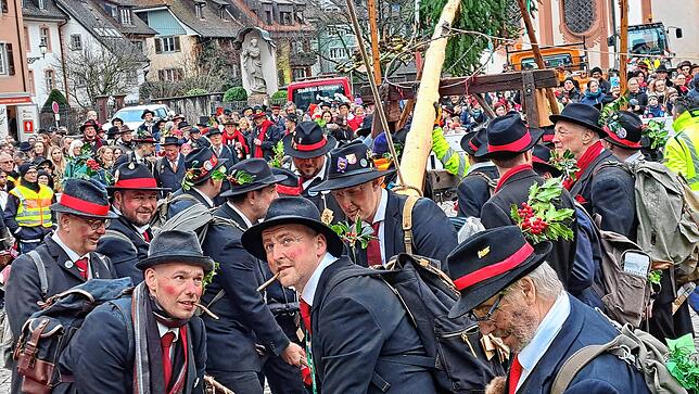 Bild 5: Bilder vom Narrenbaumstellen in Bad Säckingen