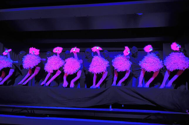 Bild 8: Rietvögel Ball Villingen: So spektakulär war der Abend – die besten Bilder