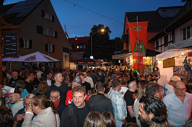 Bild 38: Wollmatinger Dorffest 2025: Wilde Engel bringen Stimmung und Partyfeeling pur