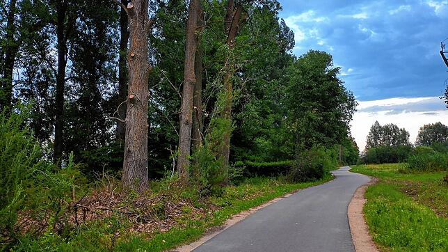 Der Radweg zwischen Moos und Iznang ist wieder frei. Neben dem Weg sind deutlich die Spuren der Baumschnittaktion zu sehen.