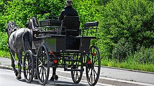 Würden in und um Berlin mehr Politiker in Kutschen fahren, hätten sie mehr Zeit, über sinnvolle Politik nachzudenken.