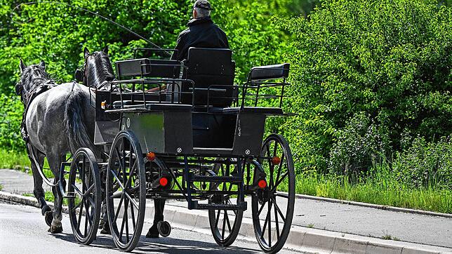 Würden in und um Berlin mehr Politiker in Kutschen fahren, hätten sie mehr Zeit, über sinnvolle Politik nachzudenken.