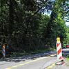 Sorgen für Ärger rund um das Konstanzer Hörnle: Die Schilder, die auf die seit Anfang Juli geltende Einbahnregelung in der ...