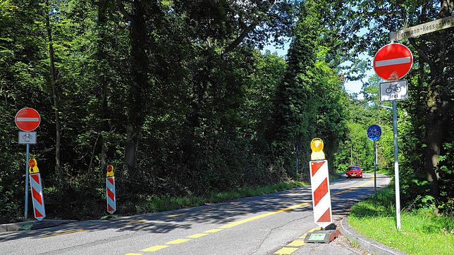 Sorgen für Ärger rund um das Konstanzer Hörnle: Die Schilder, die auf die seit Anfang Juli geltende Einbahnregelung in der ...