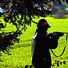 Schweizer Jäger zahlen im Landkreis Waldshut 13 Mal mehr Jagdsteuer als ihre deutschen Kollegen (Symbolbild).