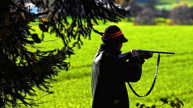 Schweizer Jäger zahlen im Landkreis Waldshut 13 Mal mehr Jagdsteuer als ihre deutschen Kollegen (Symbolbild).