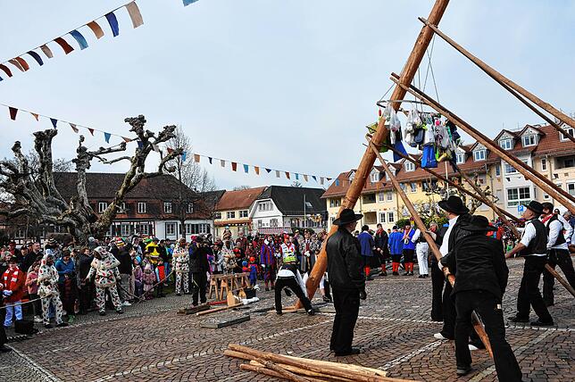 Bild 3: Beste Einblicke zum Narrenbaumsetzen in Markdorf – so feiert die Stadt!