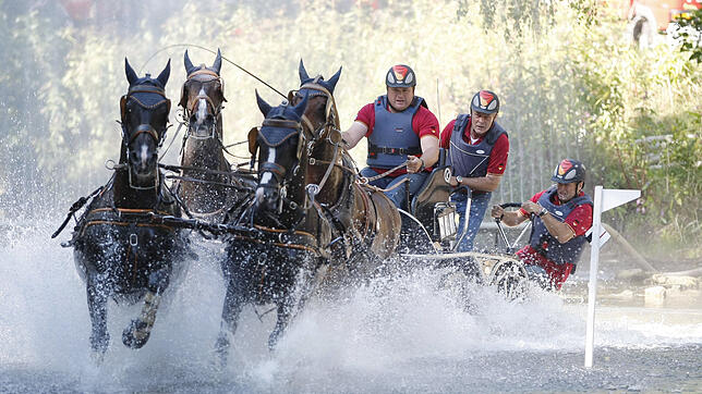 Georg von Stein, hier in Aachen, wird auch in Donaueschingen an den Start gehen. Für den Gespannfahrer ist die Europameisterschaft im ...
