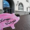 Sparschweinchen für die Radolfzeller: Die Stadt möchte als Reaktion auf einen CDU-Antrag ein Bürgerbudget einführen, über dessen ...