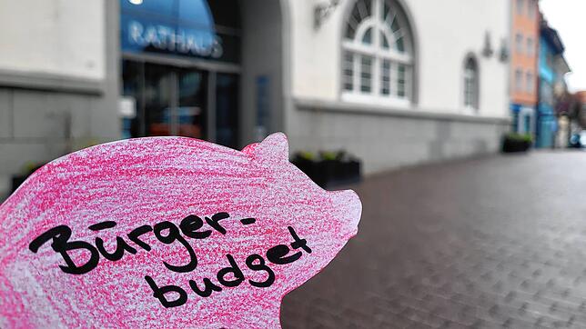 Sparschweinchen für die Radolfzeller: Die Stadt möchte als Reaktion auf einen CDU-Antrag ein Bürgerbudget einführen, über dessen ...