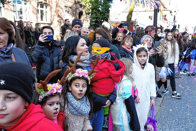 Bild 21: Alle Bilder zum Narrenbaumzug durch die Singener Innenstadt (2)