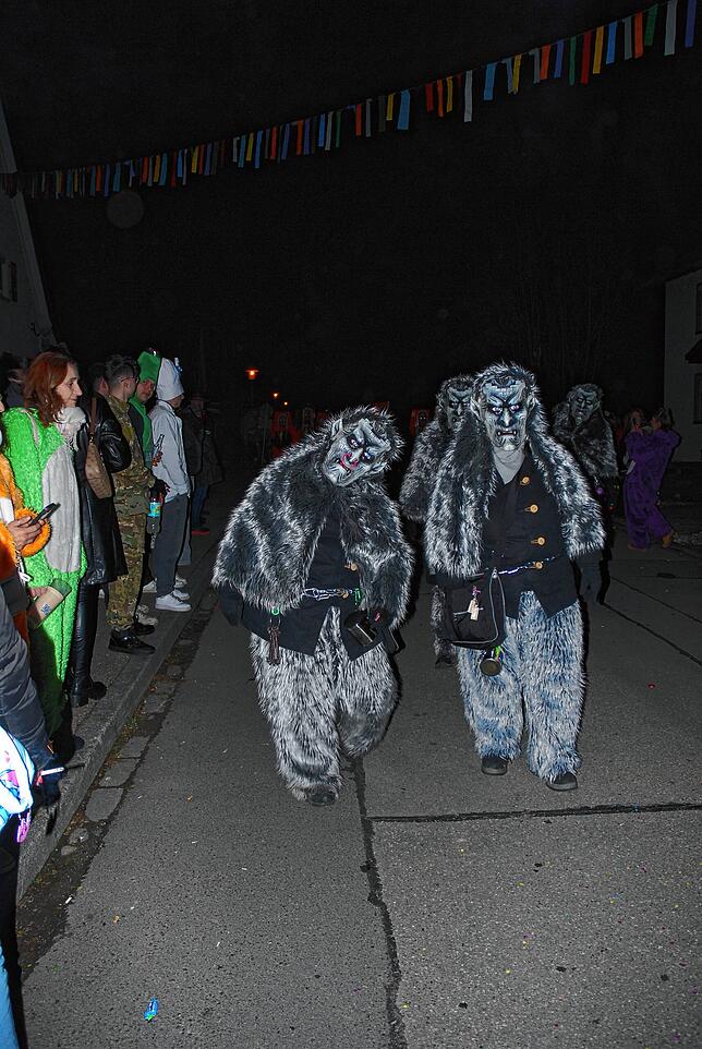 Bild 10: Bilder vom Nachtumzug in Erzingen