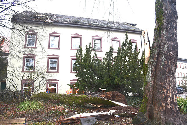 Vor dem Riettor ist ein riesiger Baum auf das Haus in der Rietstraße 2 gefallen, in diesem Haus ist das Café am Riettor untergebracht.
