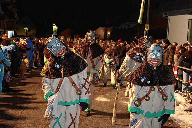 Bild 3: 21. Nachtumzug der Wolfbach-Rolli: Fasnet beginnt mit Vollgas