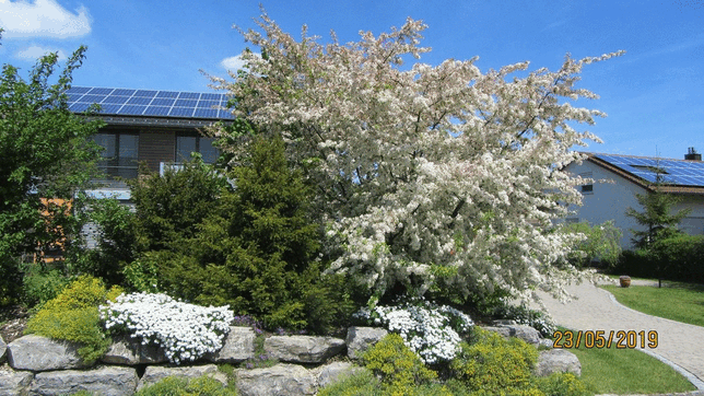 Bild 11: #SKverbindet: Das sind die schönsten Gartenprojekte unserer Leser