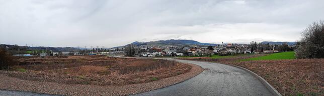 Der Panoramablick vom Kapellenäcker Richtung Stadt. Die Ludwigshafener Straße ist aus dieser Perspektive links hinter dem ...