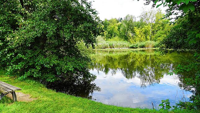 Ein idyllisches Ruheplätzchen oberhalb von Bermatingen ist der Weiher.