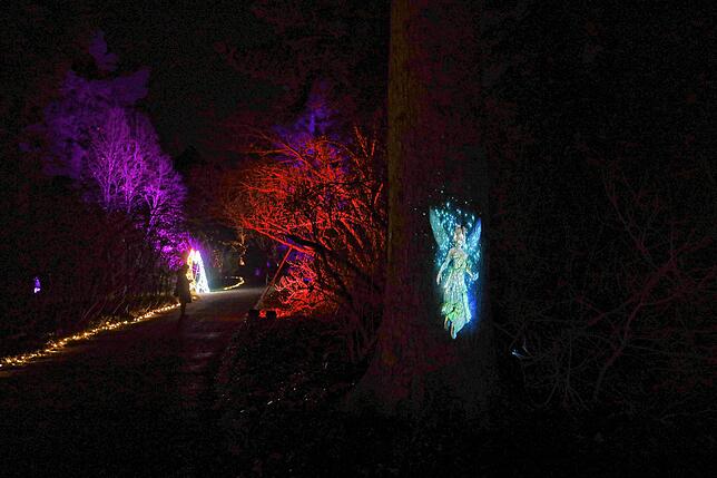Bild 5: Insel Mainau: Bilder vom Start des Christmas Garden 2023 - Teil 1