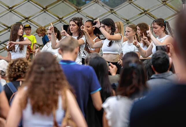 Bild 4: Hausherrenfest Kulturprogramm am Radolfzeller Uferbereich! – Hier die schönsten Einblicke!