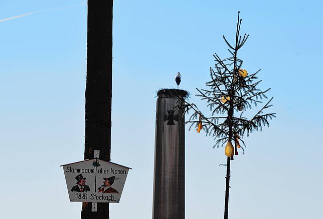 Bild 12: &bdquo;Ohhh, guck, d&lsquo; Storch isch da!&ldquo; Die Stockacher freuen sich, dass Hans wieder im Nest in der Oberstadt klappert