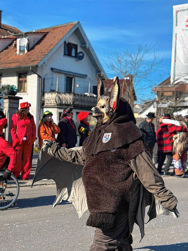 Bild 21: Fasnacht 2025: Alle Bilder vom Gemeinschaftsumzug in Mühlhofen