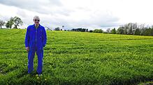 Auf zwei Flächen auf der Gemarkung Homberg möchte Albert Scherer Agri-PV-Anlagen errichten. Foto: Wolf-Dieter Guip