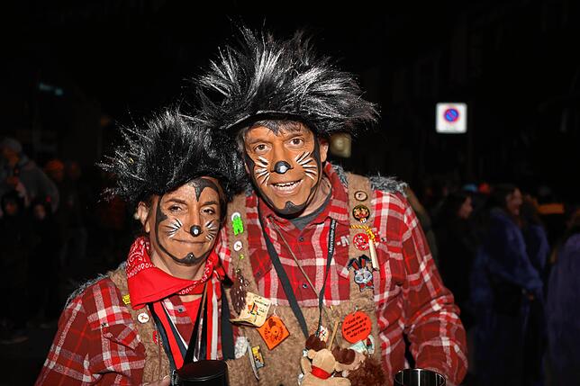 Bild 3: Die schönsten Bilder vom Nachtumzug in Möggingen 2025: 30 Gruppen im närrischen Treiben