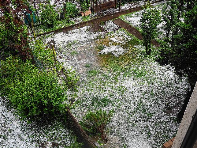 Bild 5: Hagelkörner groß wie Taubeneier! Bilder vom Unwetter am 1. Juni in Bad Säckingen - und den Schäden