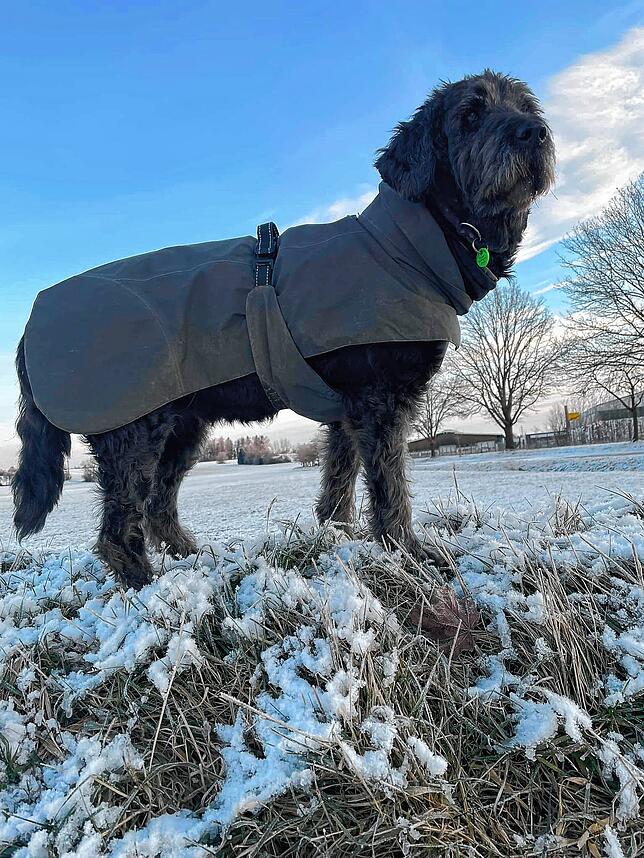 „4. Januar, es ist sehr kalt heute. 12 Grad minus!“, lautet an diesem Tag der Wetterbericht.